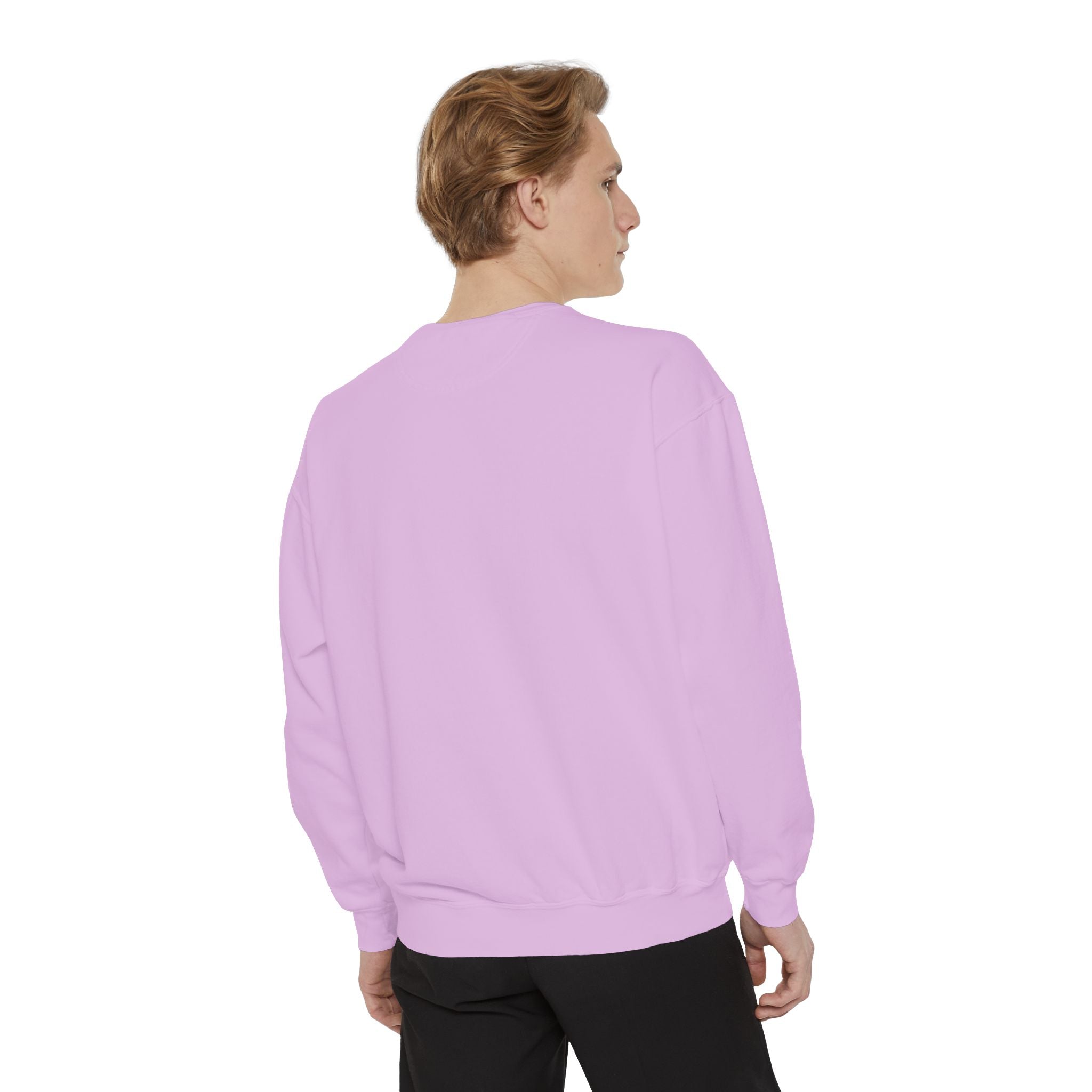 Clothes Line Sweatshirt