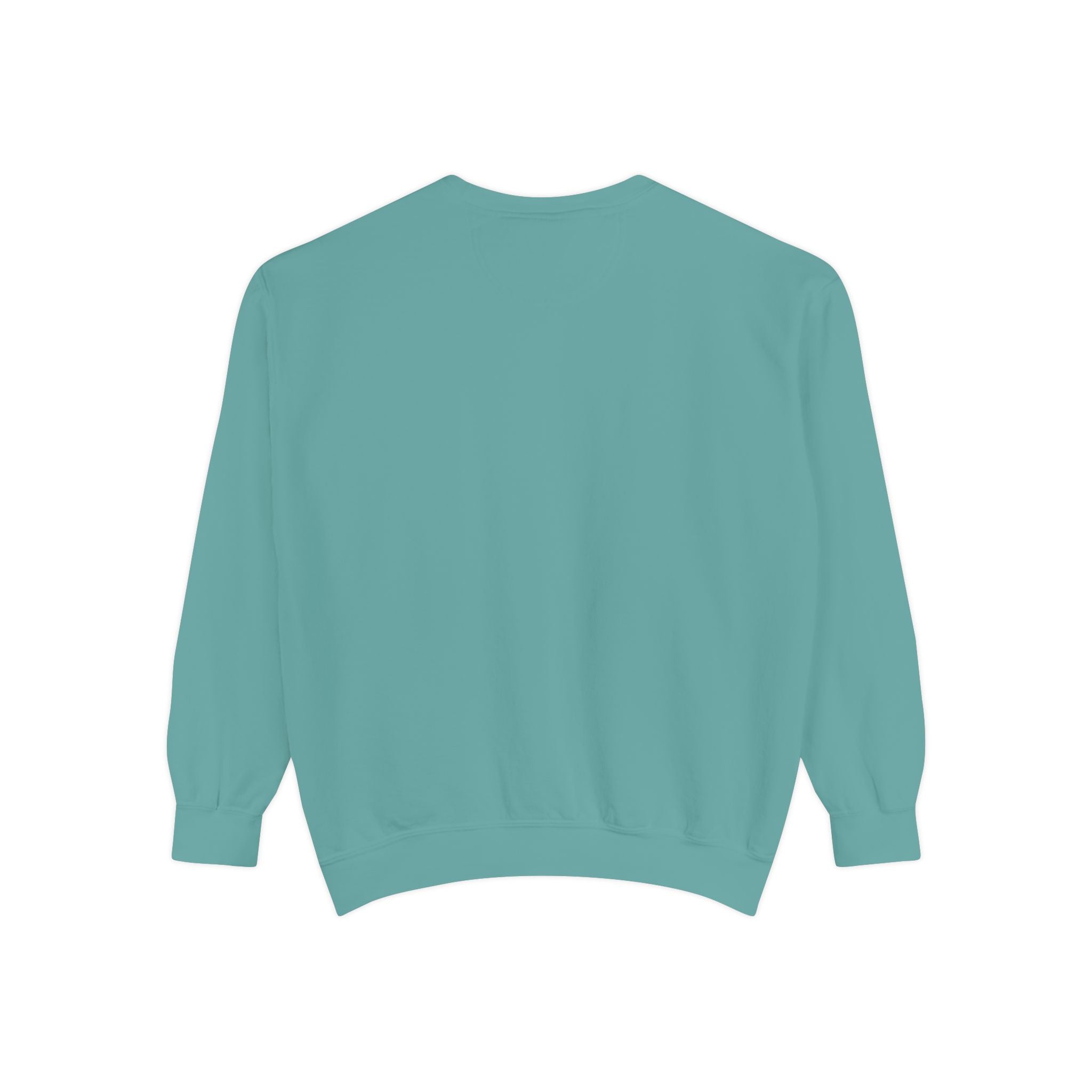 Clothes Line Sweatshirt