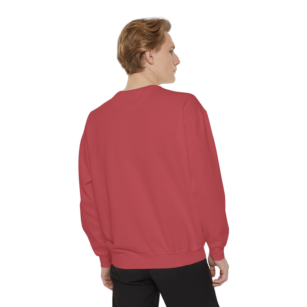 Clothes Line Sweatshirt