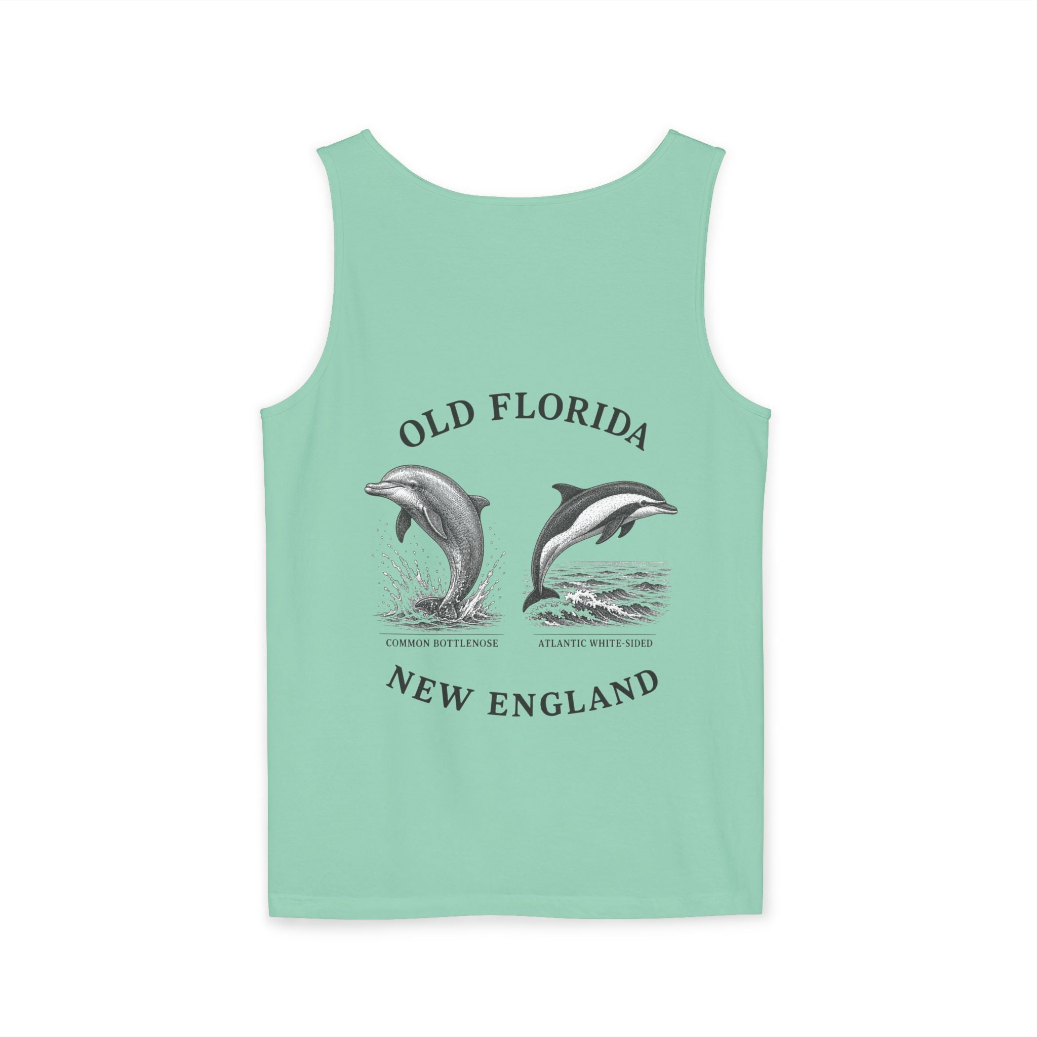 Dolphin Tank