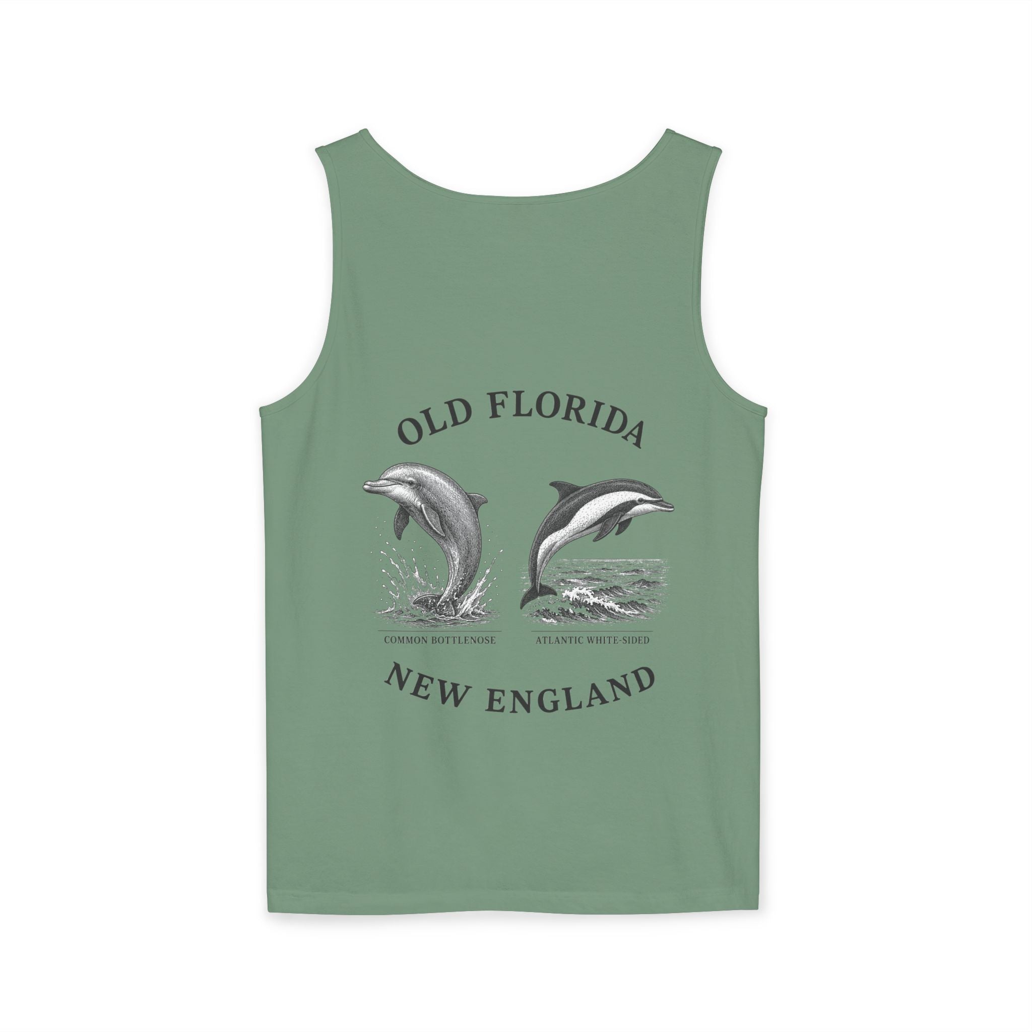 Dolphin Tank