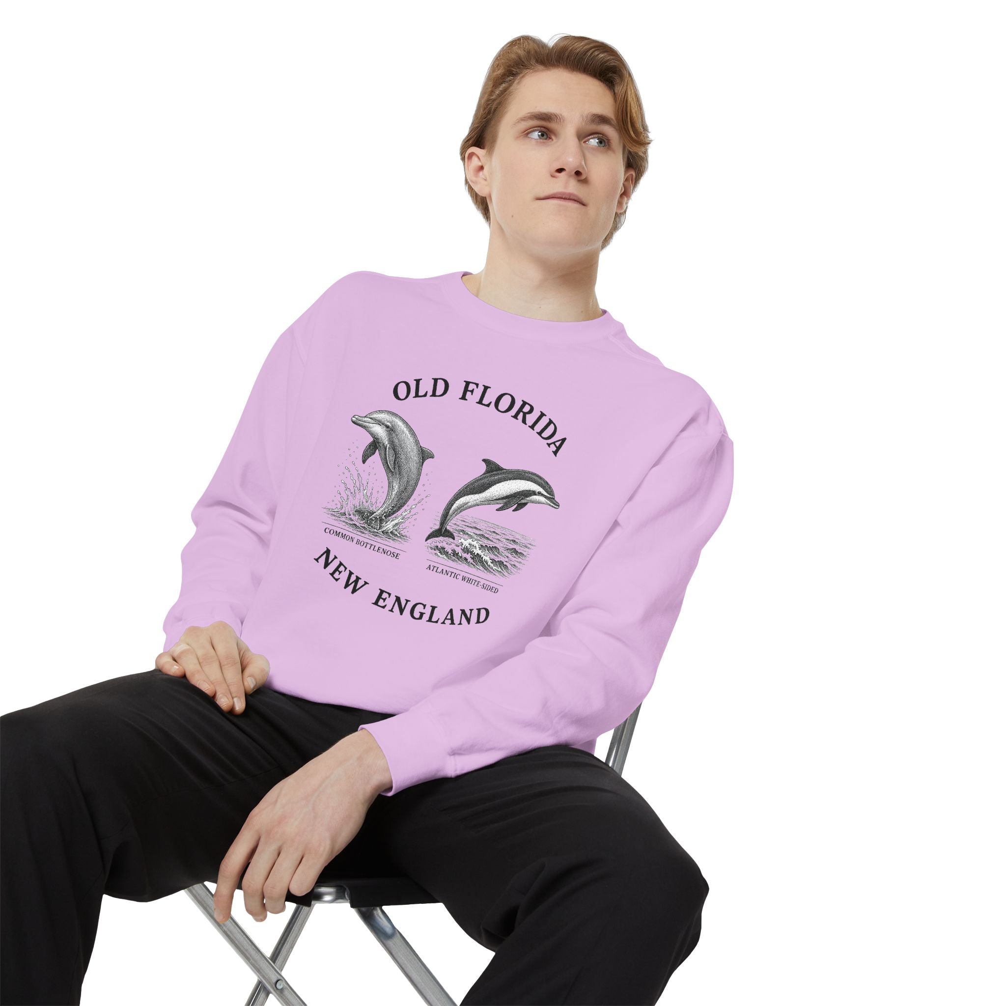Dolphin Sweatshirt