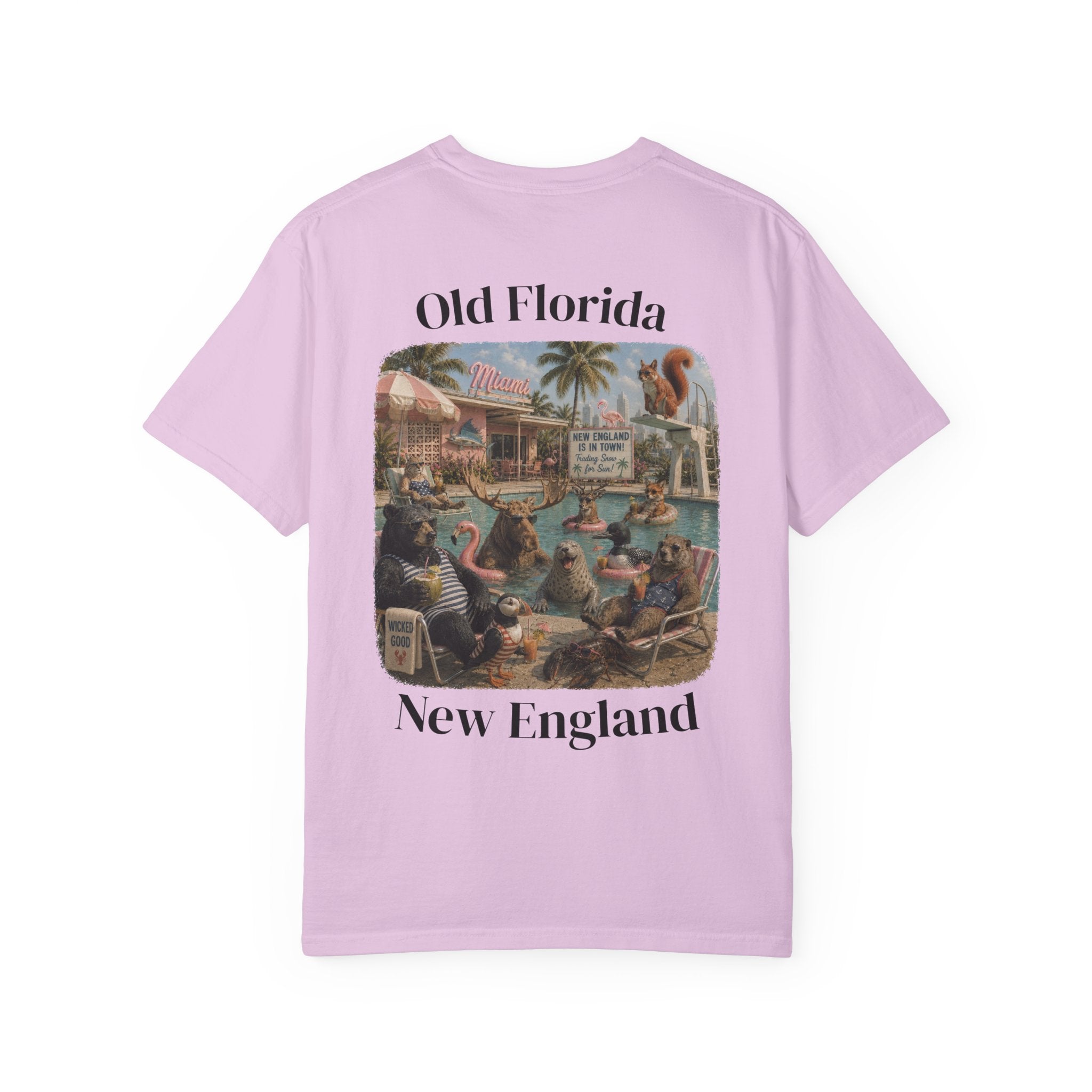 New England Is In Town T-Shirt
