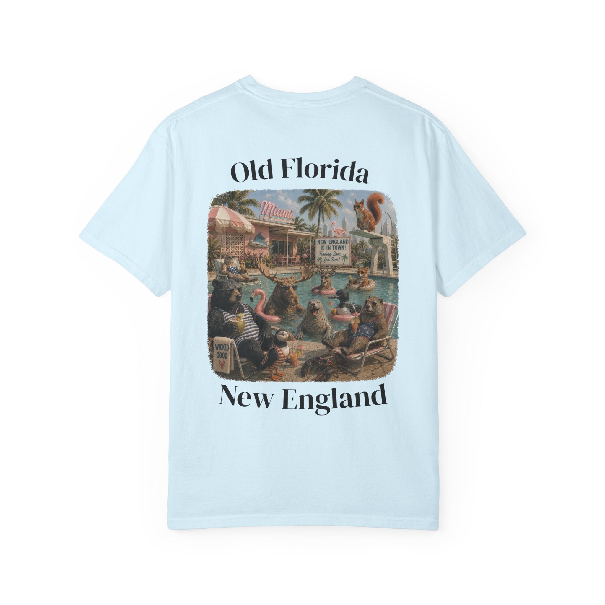 New England Is In Town T-Shirt