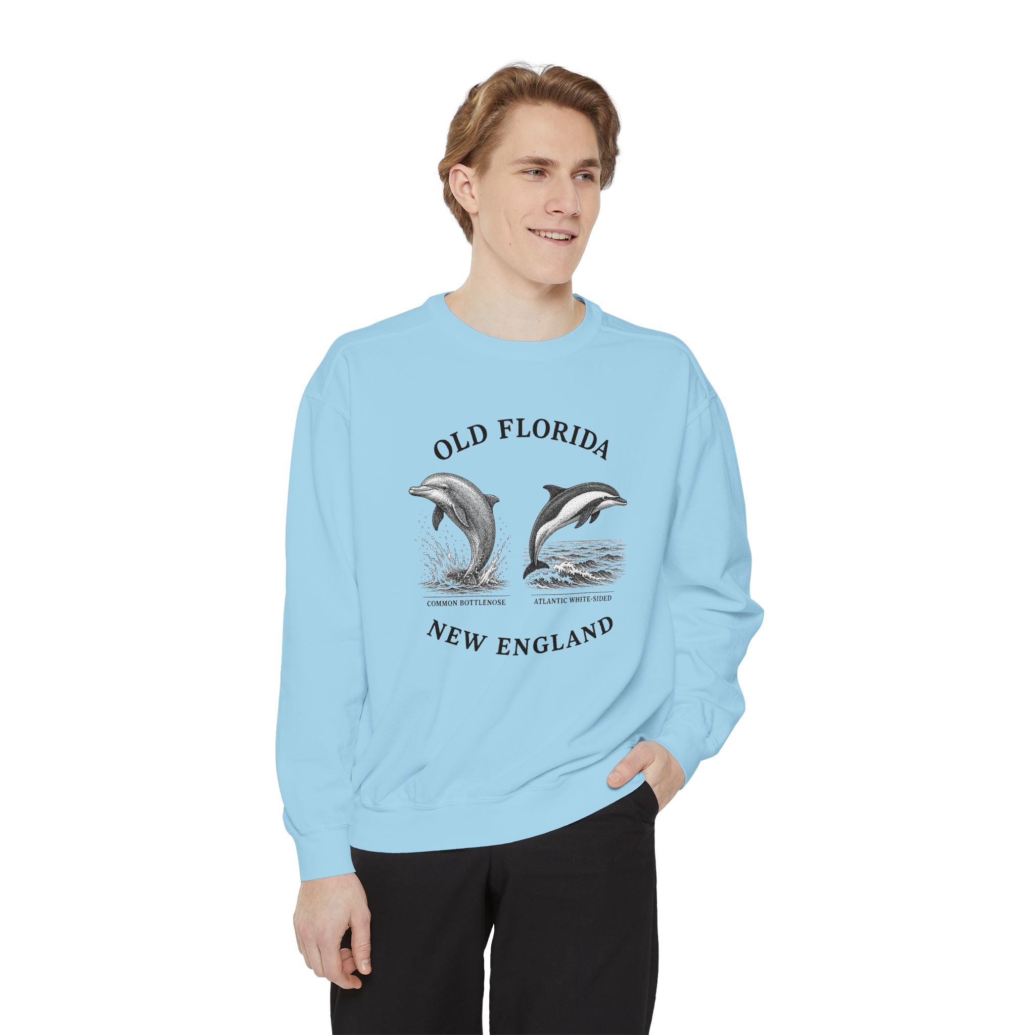 Dolphin Sweatshirt