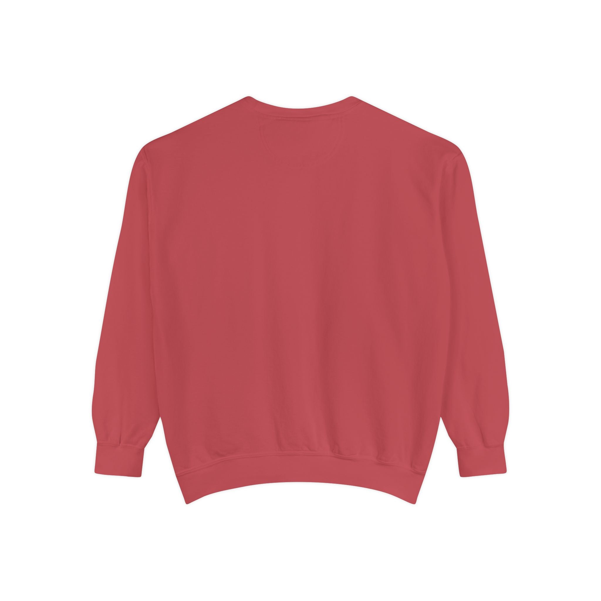 Clothes Line Sweatshirt