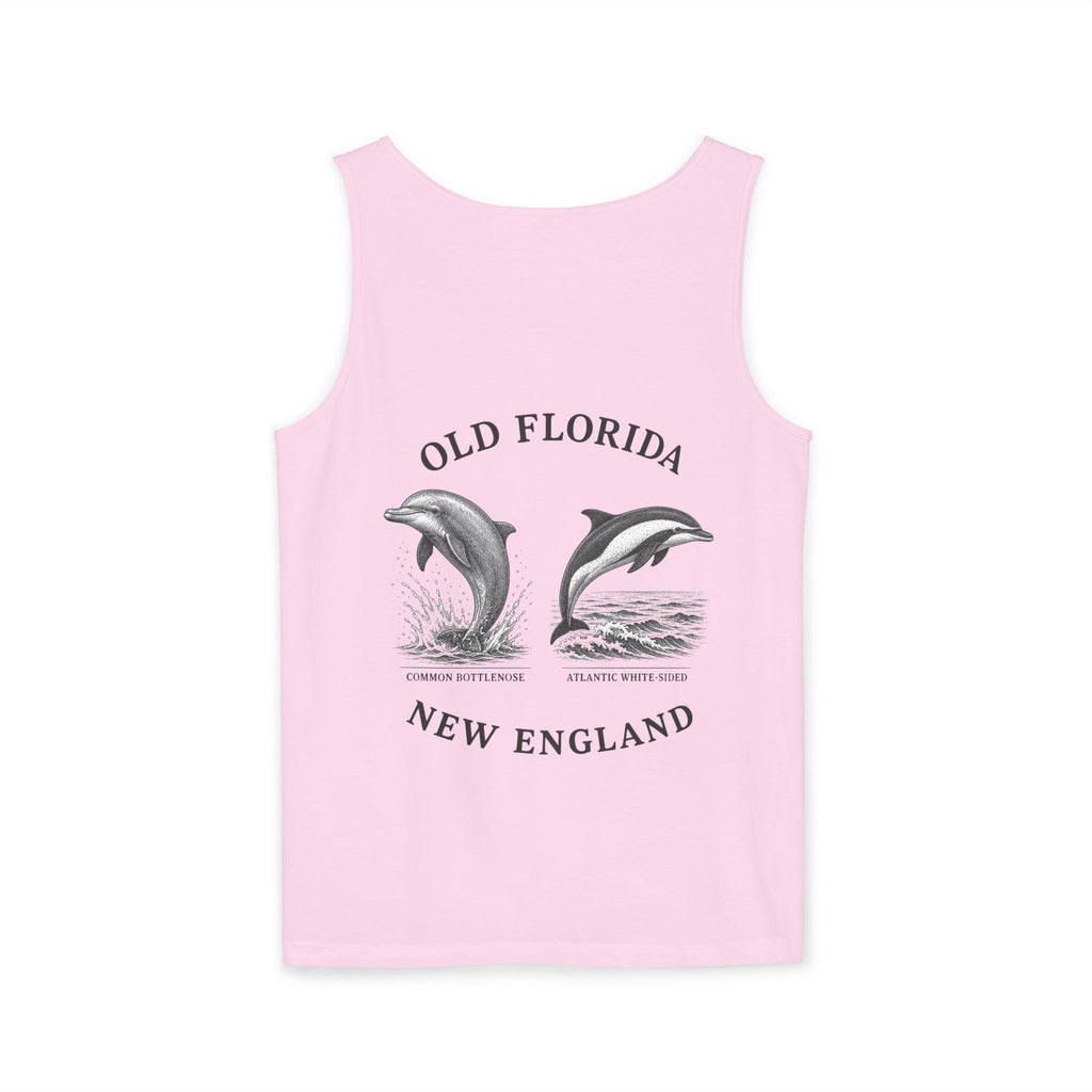 Dolphin Tank