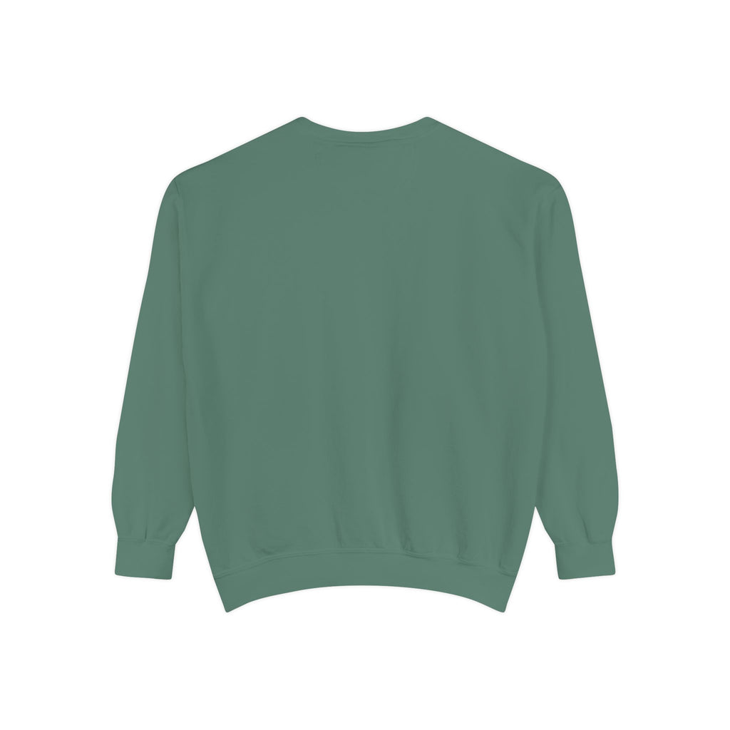 Clothes Line Sweatshirt