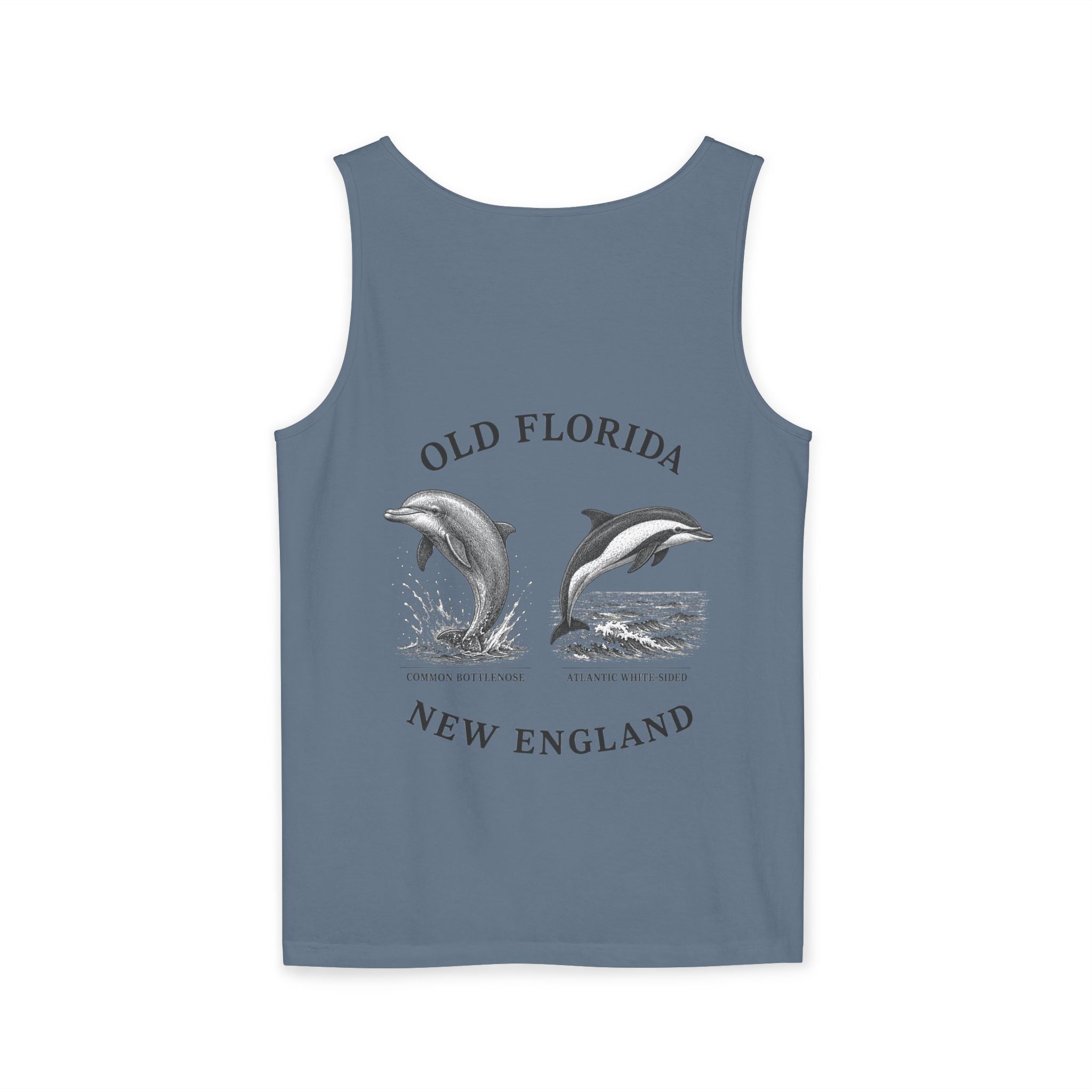 Dolphin Tank