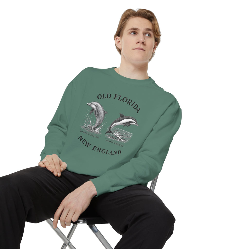 Dolphin Sweatshirt