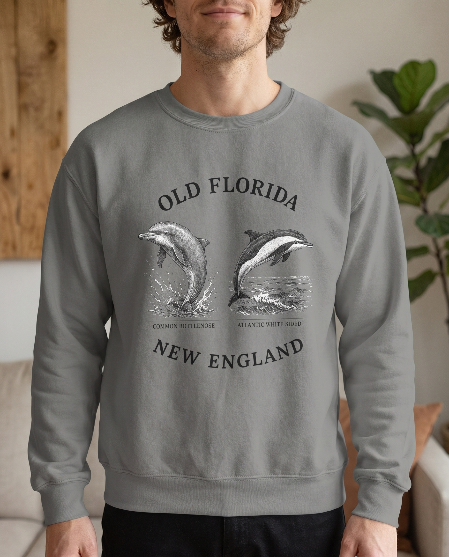 Dolphin Sweatshirt — head-on close-up, front design visible, diffused natural light